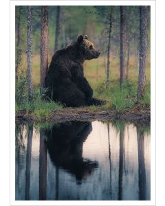 Postikortti Konsta Punkka - Karhu