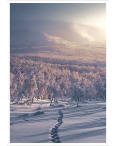 Postikortti Konsta Punkka - Luminen polku