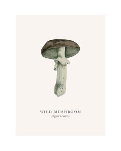 2-osainen kortti The Art File - Book and Botanics, Wild mushroom