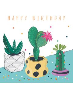 2-osainen kortti Belly Button - Happy Birthday, kaktukset