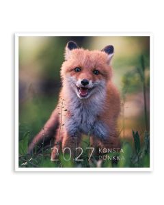 Seinäkalenteri 20x20cm Putinki - Konsta Punkka 2027
