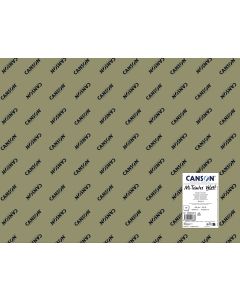 Canson Mi-Teintes Velvet 430g 50x65cm Green 614