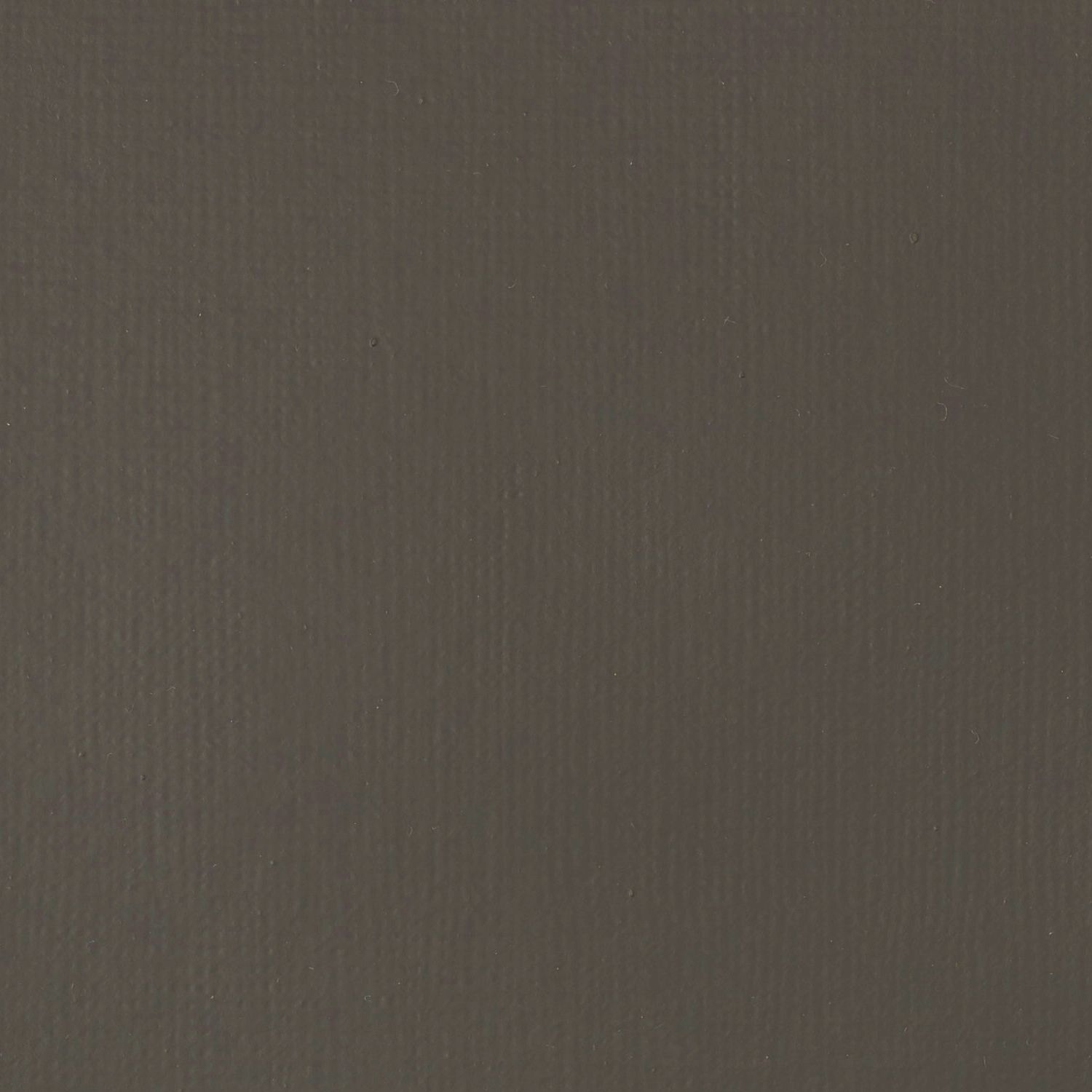Liquitex Basics 118ml 331 Raw Umber, akryyliväri x