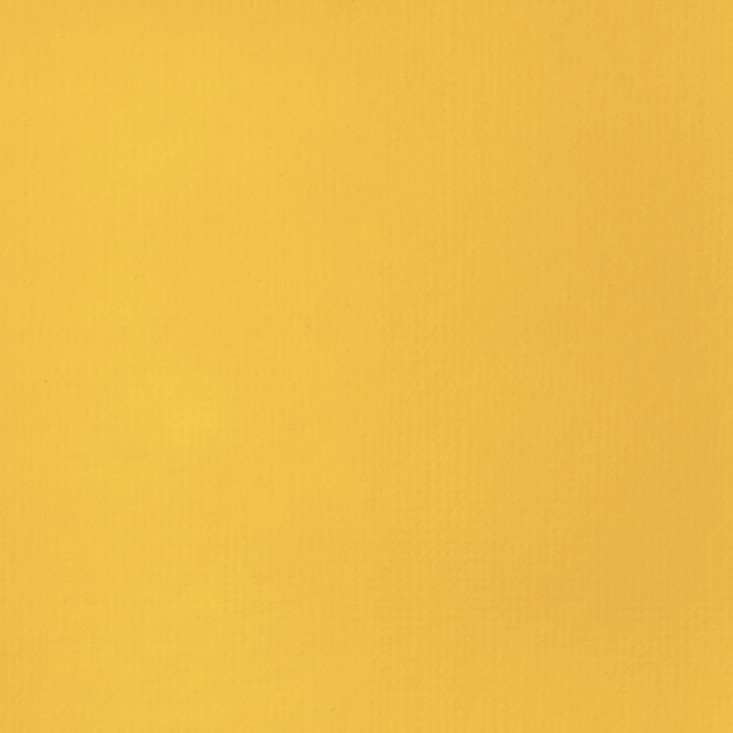 Liquitex Basics 22 ml  163 CADMIUM YELLOW DEEP H