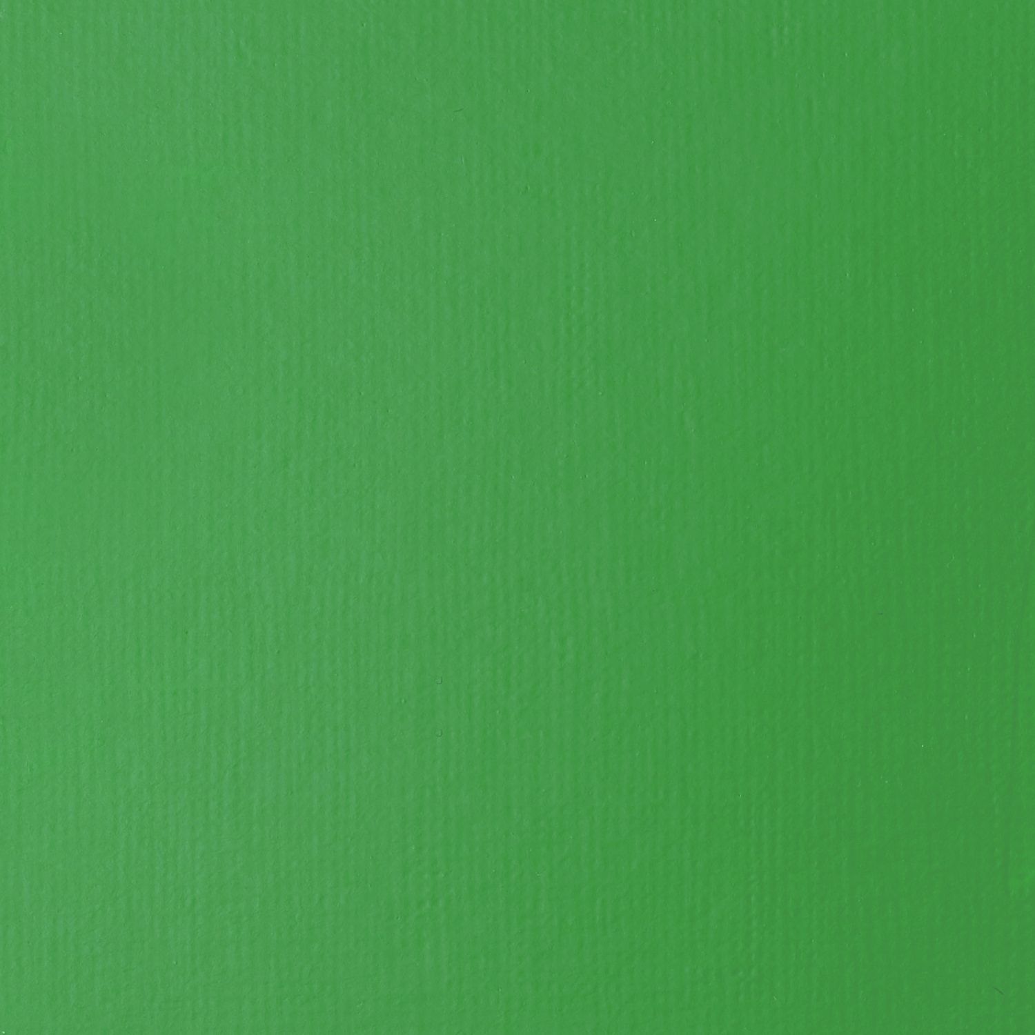 Liquitex Basics 22 ml  312 GREEN LIGHT PERMANENT