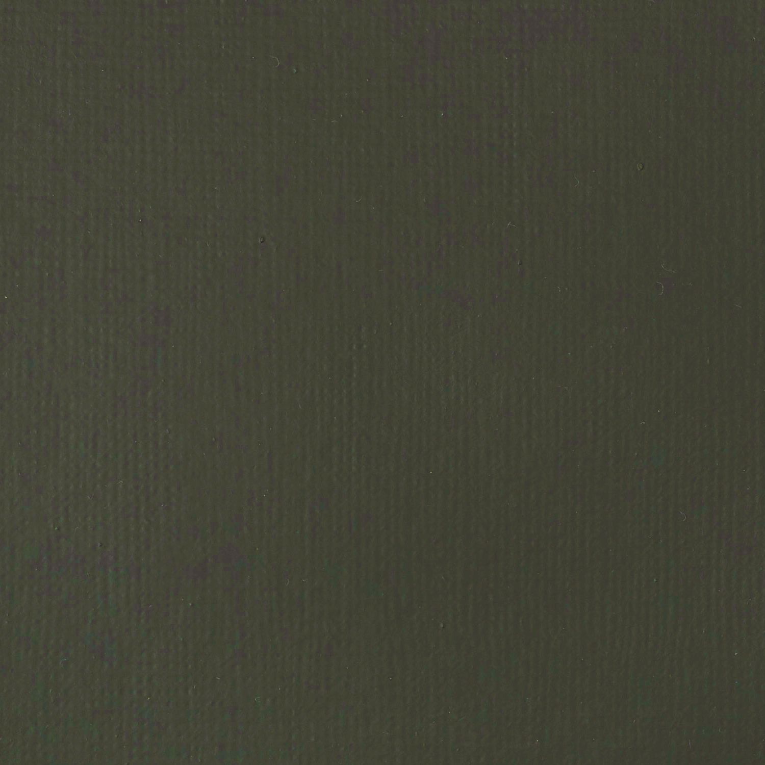 Liquitex Basics 22 ml  331 RAW UMBER