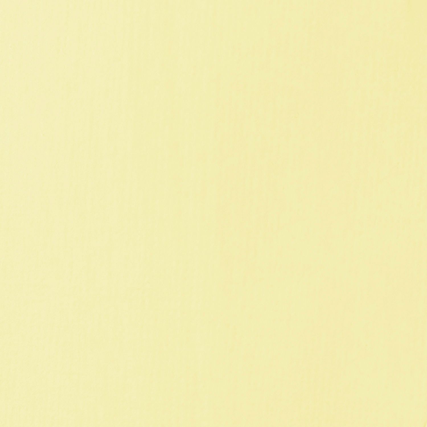 Liquitex Basics 22 ml  436 PARCHMENT