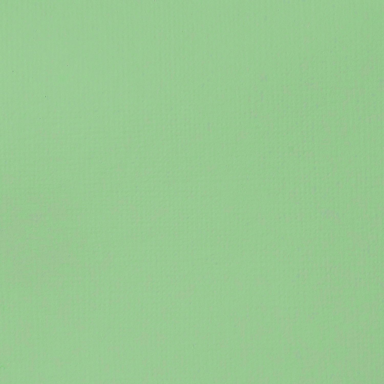 Liquitex Basics 22 ml  205 GREEN GREY