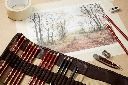 Derwent Drawing Sepia (Red)