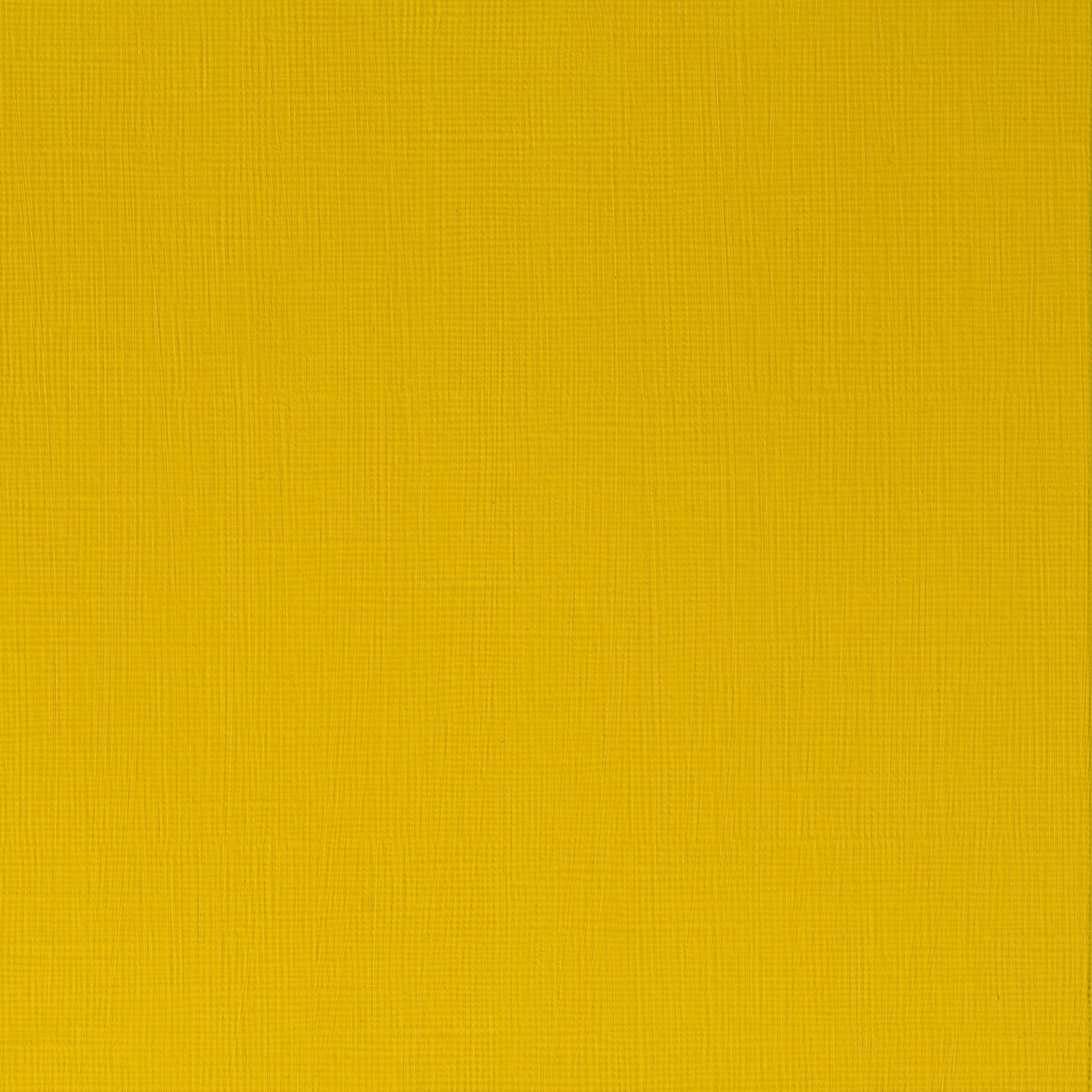 T WN Artists Acrylic 60ml 019 Azo yellow medium (, 60ml taiteilija-akryyliväri