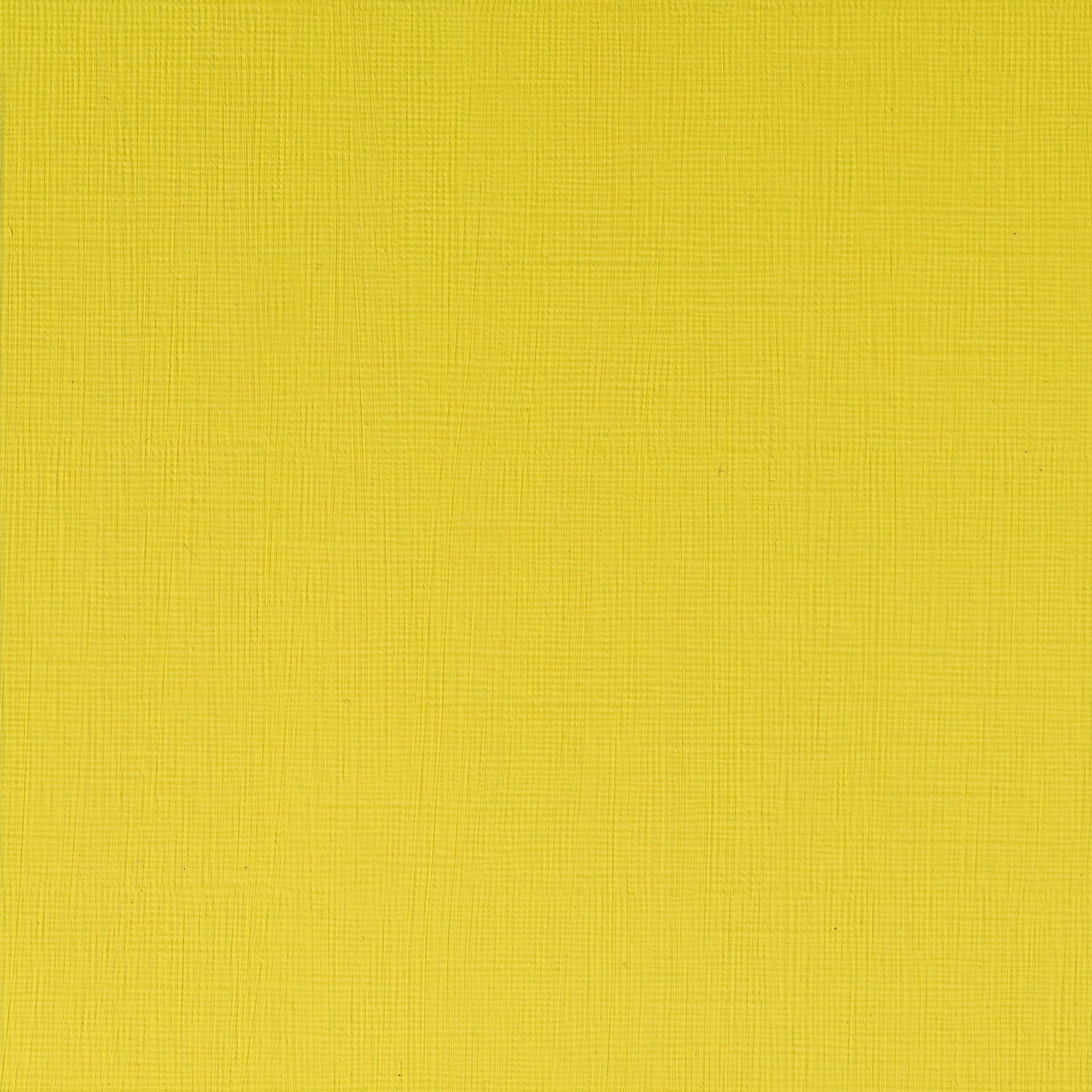 T WN Artists Acrylic 60ml 086 Cadmium lemon (3), 60ml taiteilija-akryyliväri