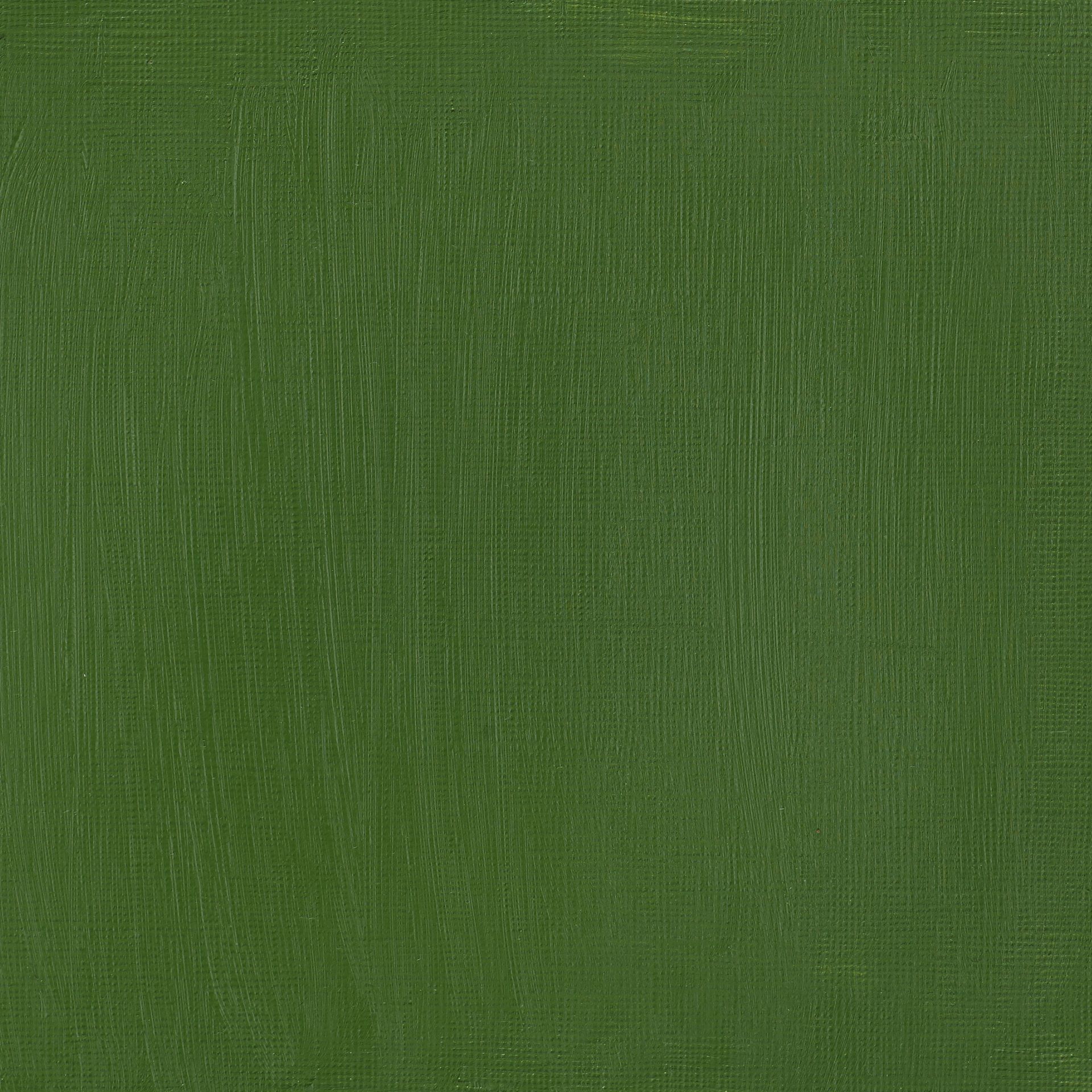 T WN Artists Acrylic 60ml 162 Chromium oxide gree, 60ml taiteilija-akryyliväri