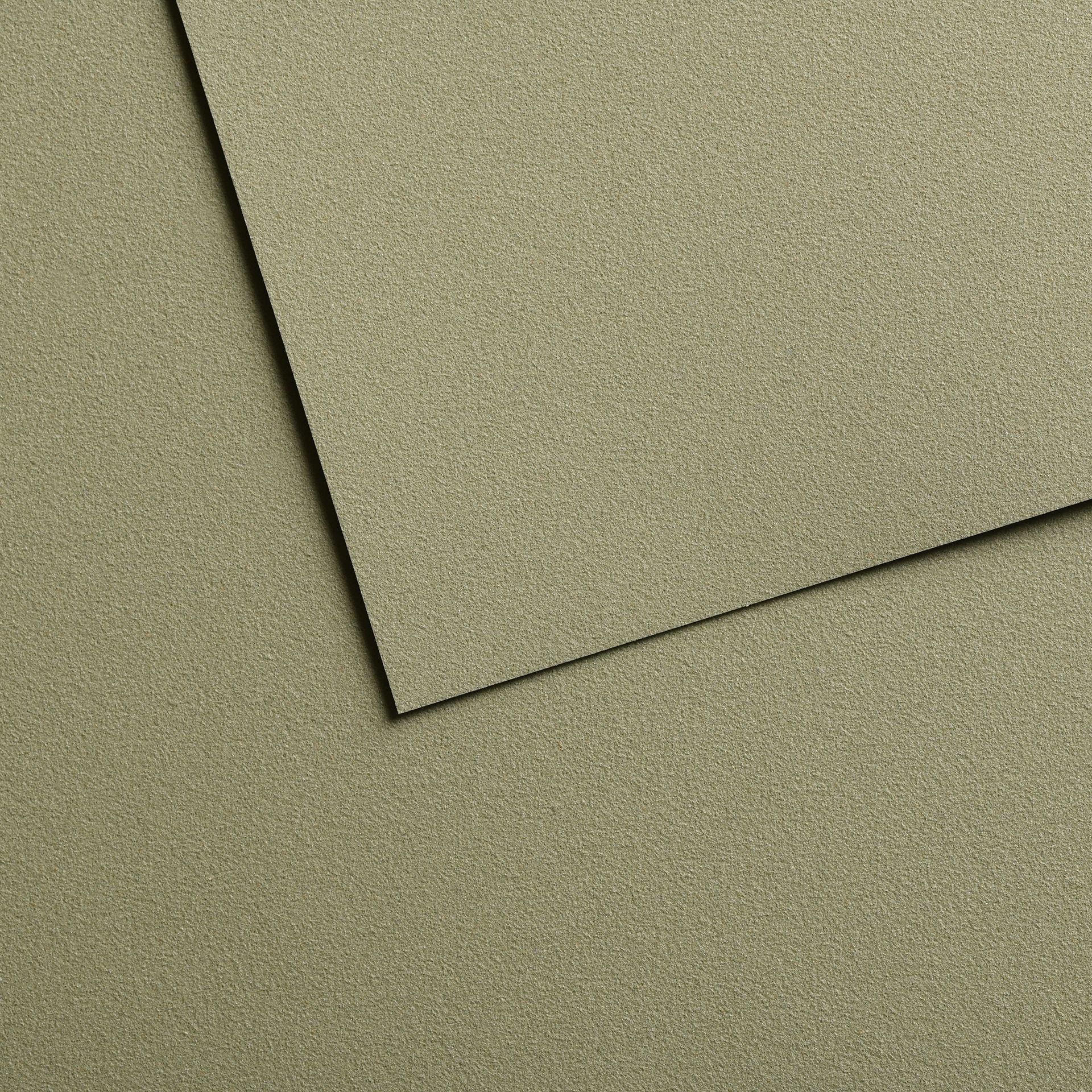 Canson Mi-Teintes Velvet 430g 50x65cm Green 614
