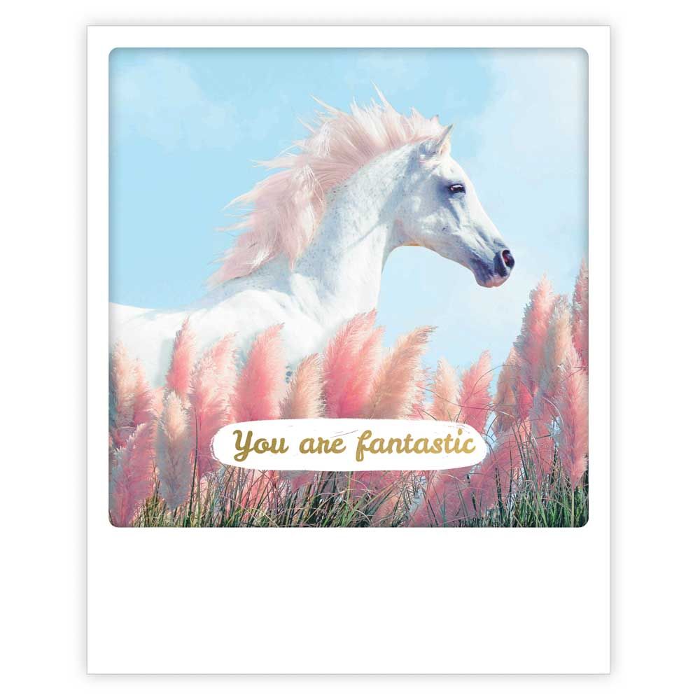 Postikortti Pickmotion - You are fantastic