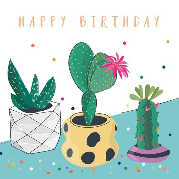 2-osainen kortti Belly Button - Happy Birthday, kaktukset