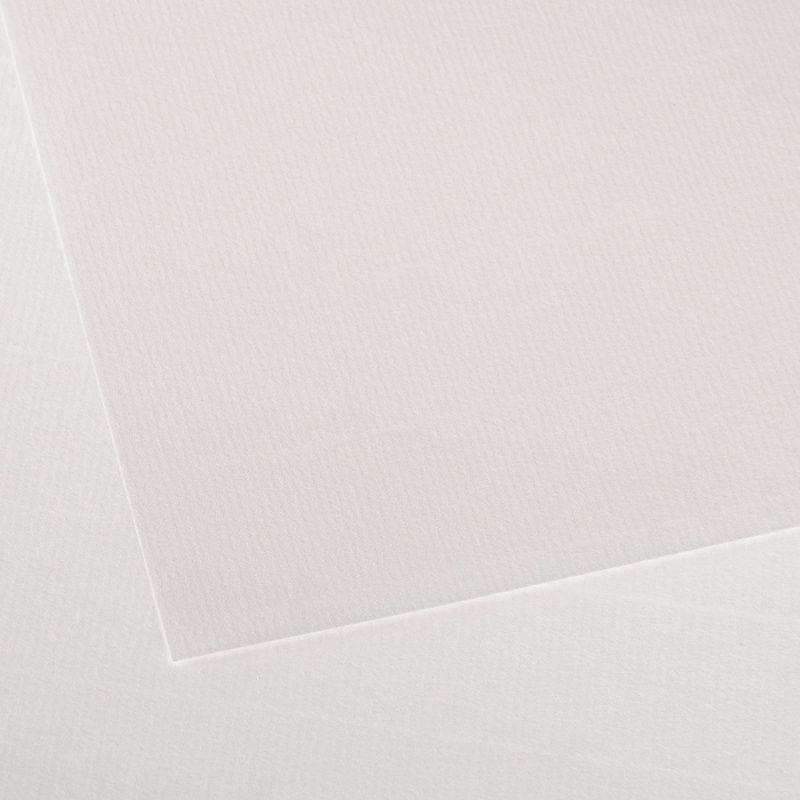 Canson Ingres vidalon 100g 50x65 01 White, pastellipaperi