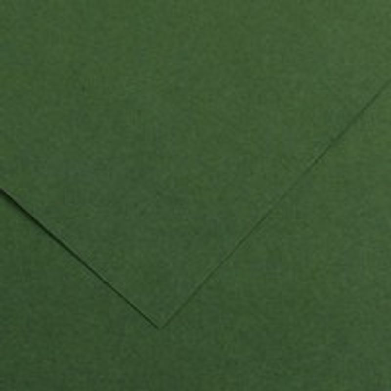 Canson Iris Vivaldi 240g 50x65 31 Fir tree, värikartonki