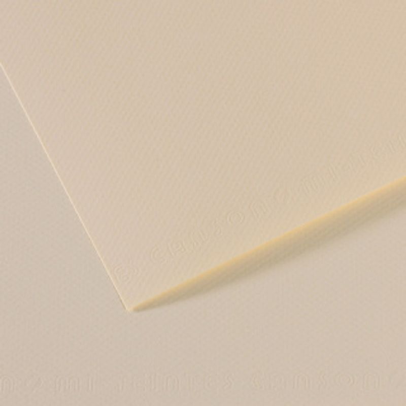 Canson Mi-teintes 160g 50x65 110 Lily, värikartonki