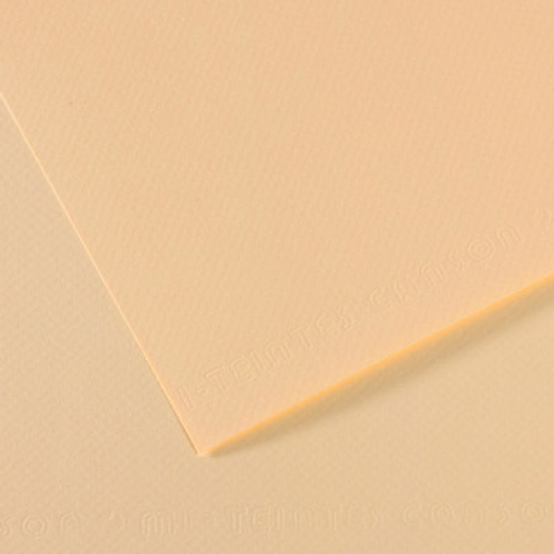 Canson Mi-teintes 160g 50x65 111 Ivory, värikartonki