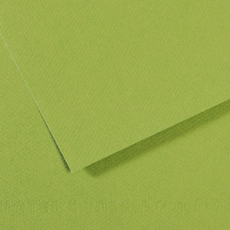 Canson Mi-teintes 160g 50x65 475 Apple green, värikartonki