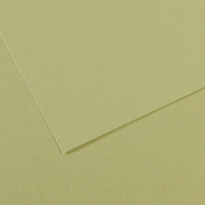 Canson Mi-teintes 160g 50x65 480 Light green, värikartonki