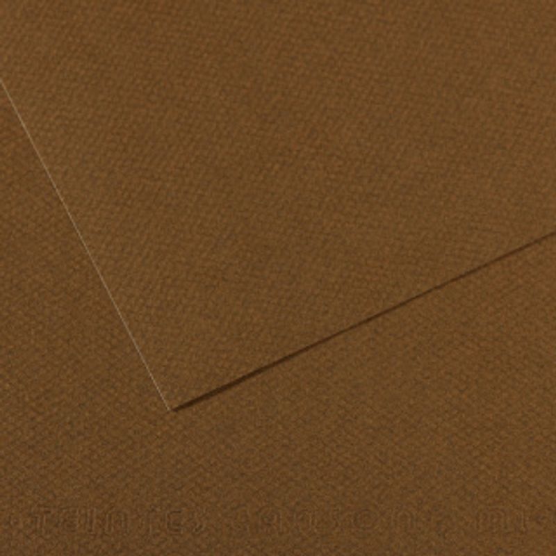 Canson Mi-teintes 160g 50x65 501 Tobacco, värikartonki