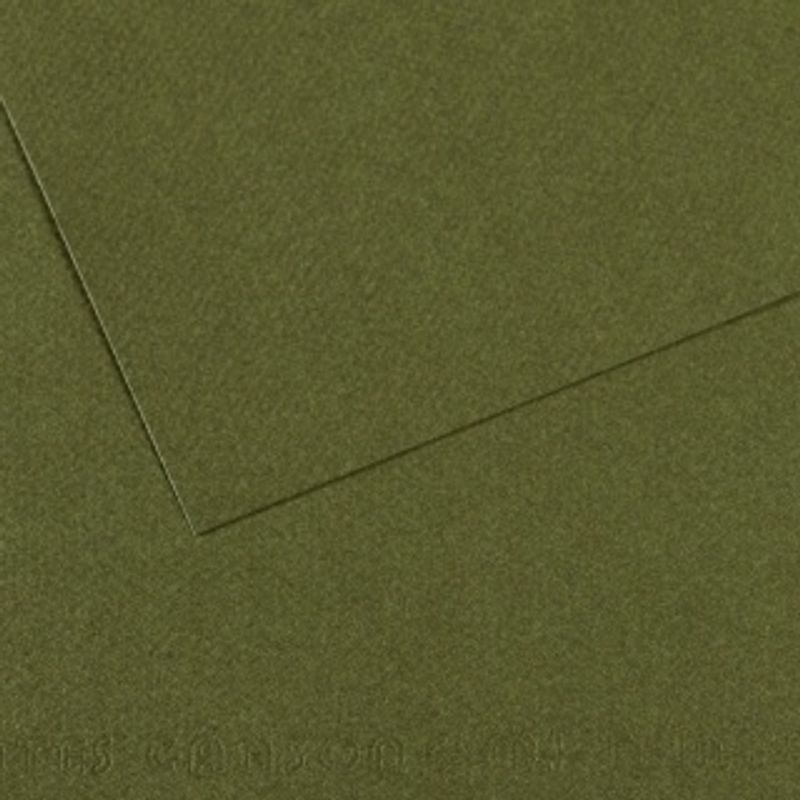 Canson Mi-teintes 160g A4 25kpl 448 Ivy, värikartonki
