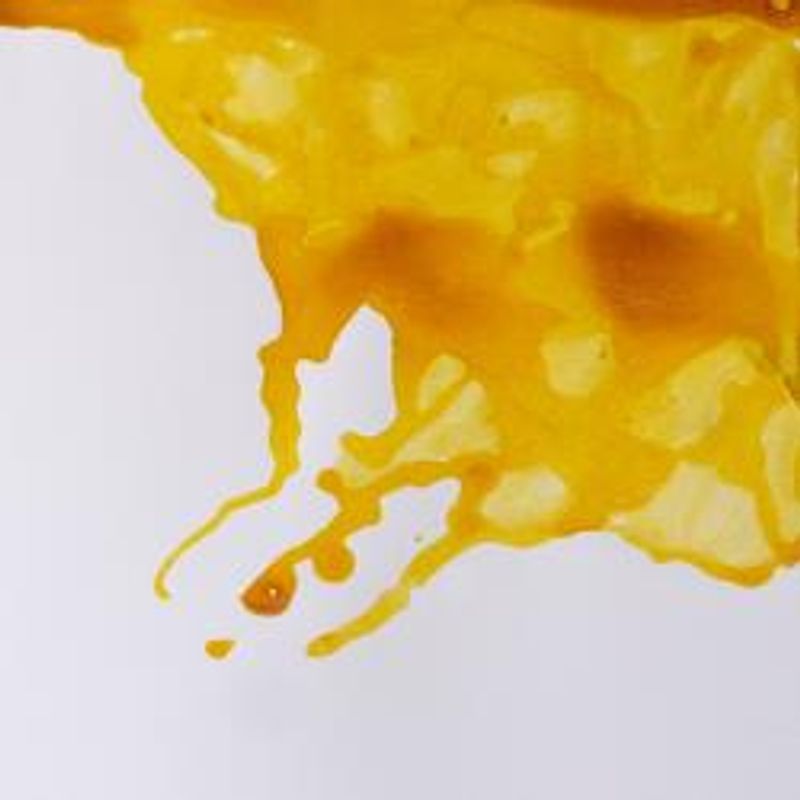 WN Drawing Ink 123 Canary yellow, 14ml piirustustussi