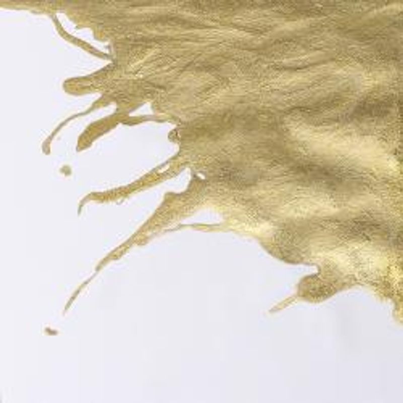 WN Drawing Ink 283 Gold, 14ml piirustustussi
