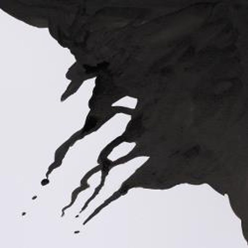 WN Drawing Ink 754 Liquid indian ink, 14ml piirustustussi vesiliukoinen
