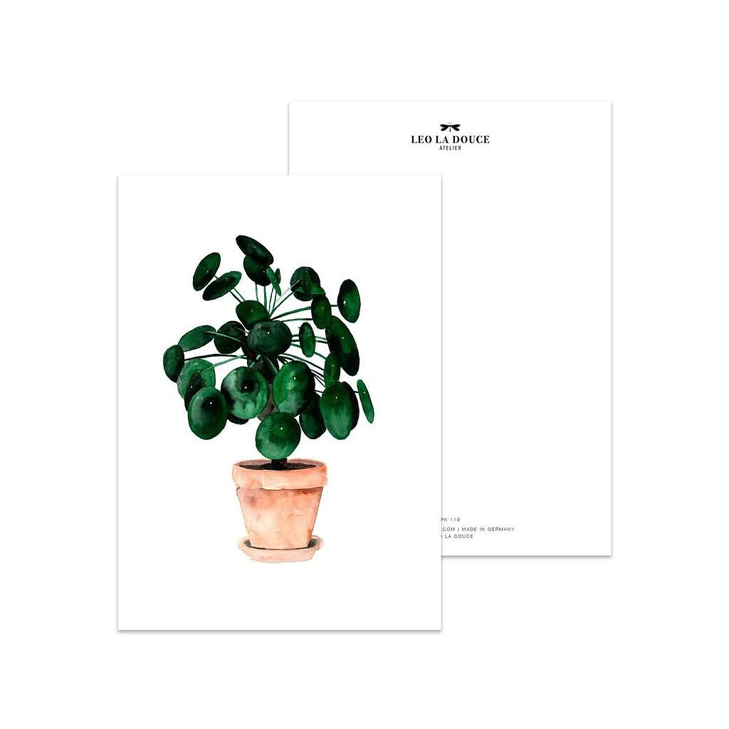 Postikortti Leo la Douce - Pilea
