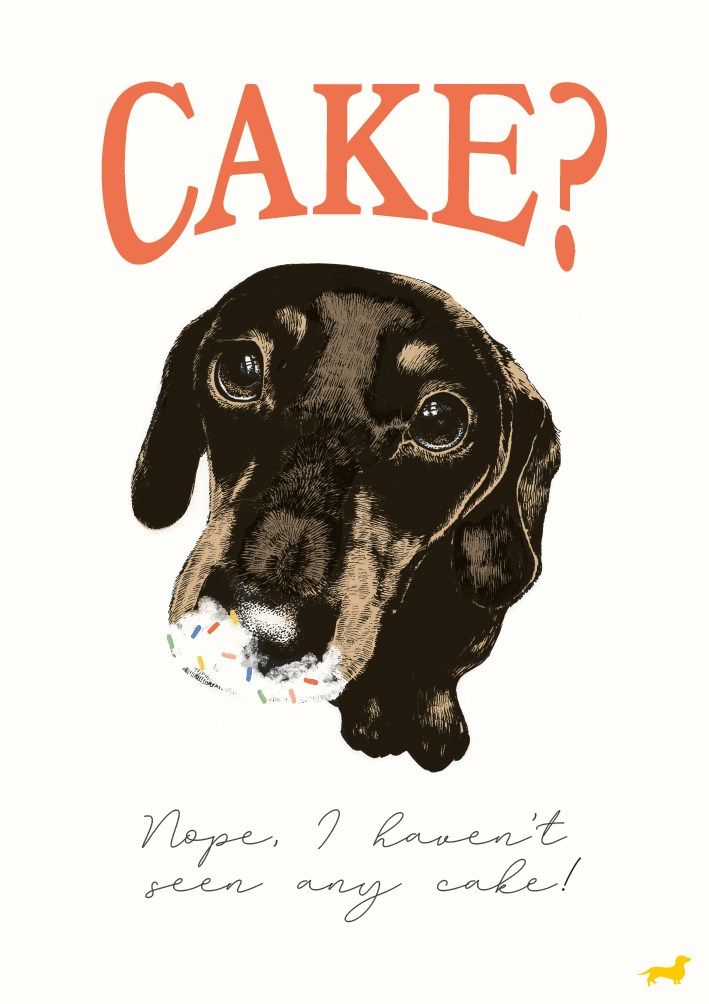 2-osainen kortti The Art File - Call Me Frank Cake?