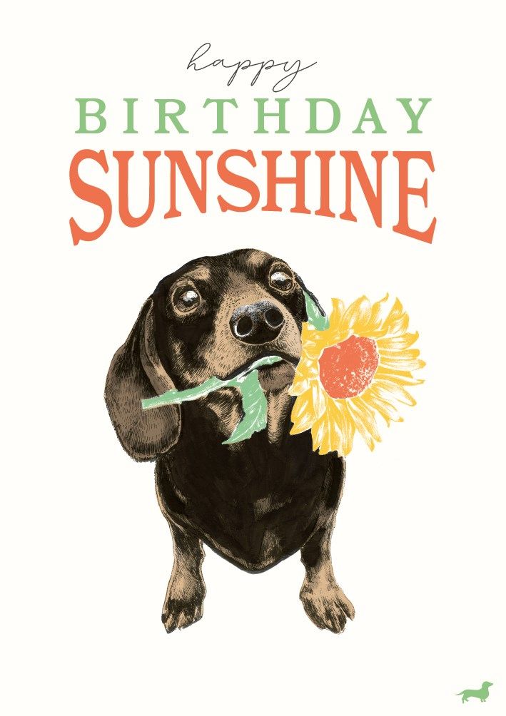 2-osainen kortti The Art File - Call Me Frank Sunshine