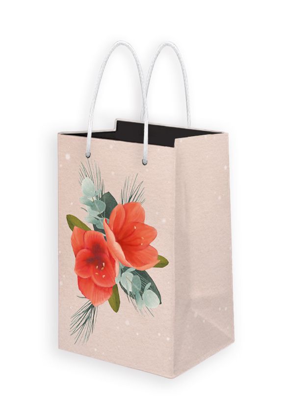 Lahjakassi joulu S Putinki Henna Adel - Amaryllis
