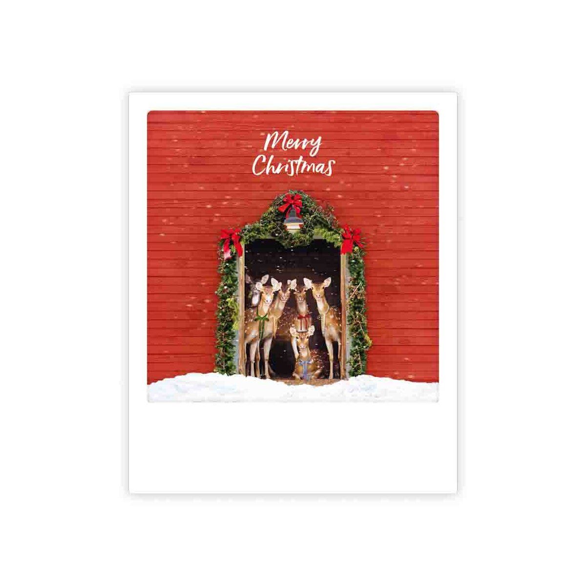 Postikortti joulu Pickmotion - Merry Christmmas, peurat