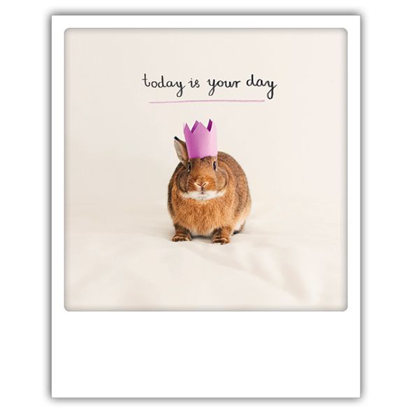 Postikortti Pickmotion - Today is your day, pupu