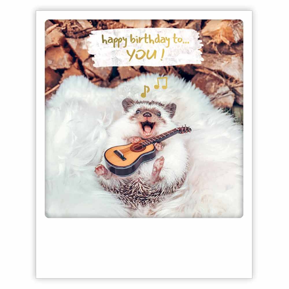 Postikortti Pickmotion - Siili, Happy birthday to you