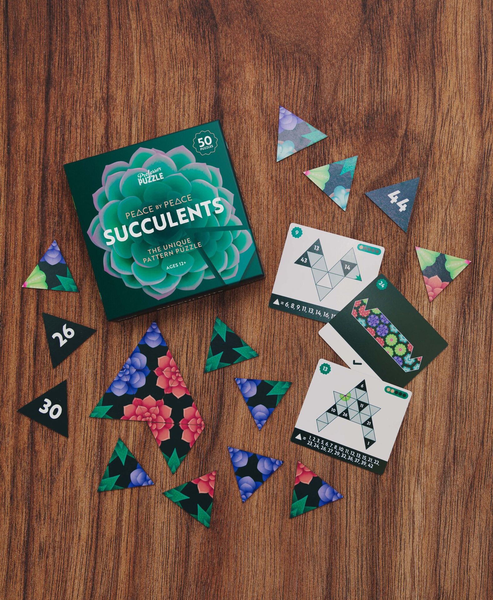 Älypeli 50 tehtävää Professor Puzzle - Peace by Peace: Succulents