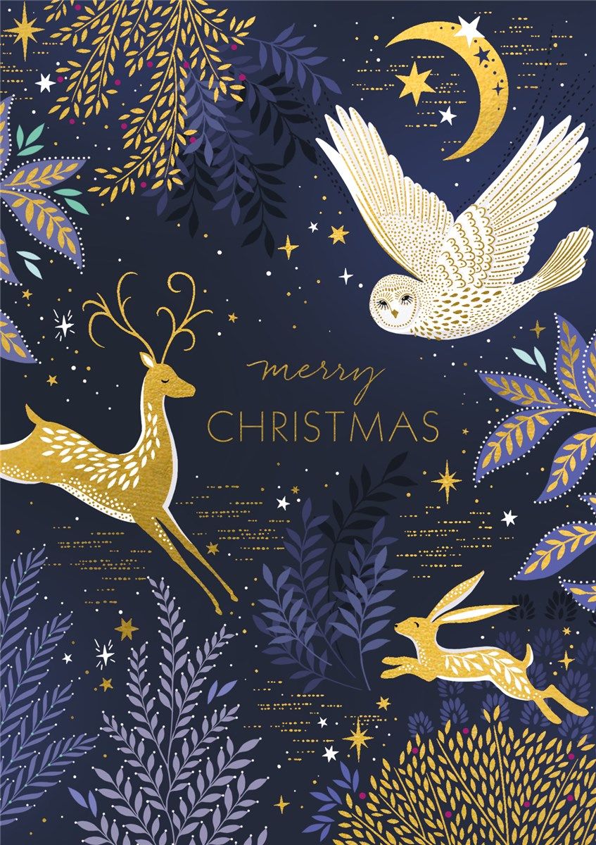 2-osainen joulukortti The Art File - Midnight wildlife