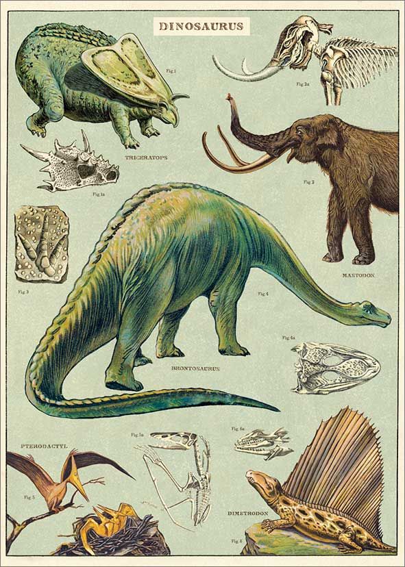 Juliste Cavallini - Dinosaurs