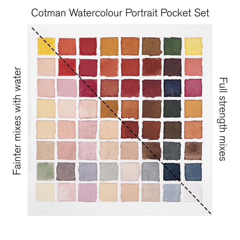 WN Cotman Pocket Portrait 8 x 1/2 nappia, akvarellilajitelma