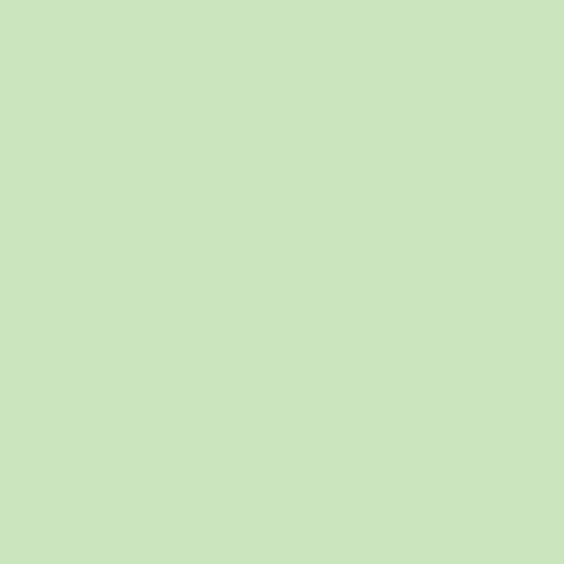 WN Promarker Meadow green (G339) x