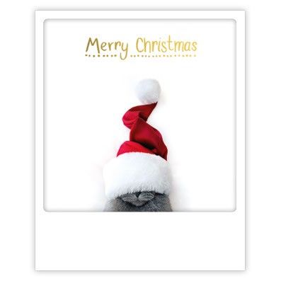 Postikortti joulu Pickmotion - Merry Christmas, kissa
