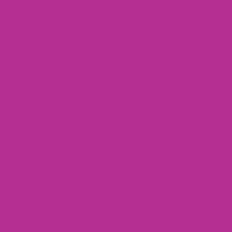 WN Promarker Mulberry (V865) x