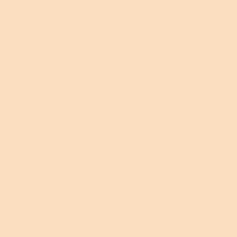 WN Promarker Blush (O729)  x