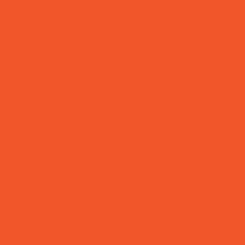 WN Promarker Bright orange (O177) x