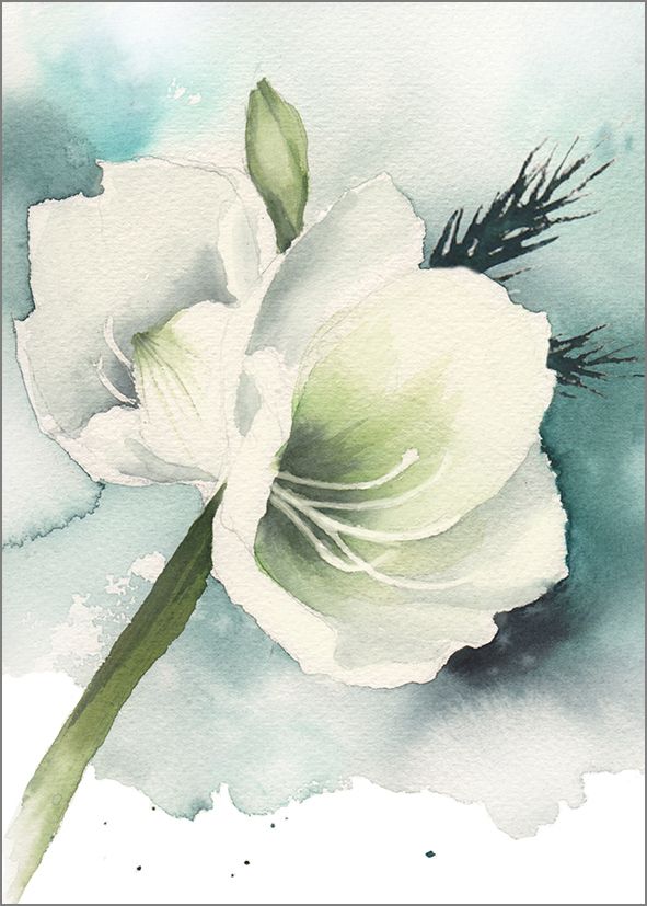 2-osainen kortti joulu Henna Adel - Valkoinen amaryllis