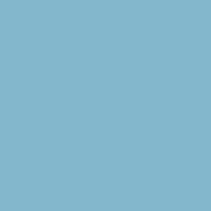 WN Promarker Denim blue (C917) x