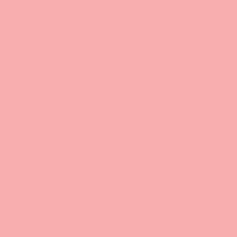 WN Promarker Cocktail pink (R438)