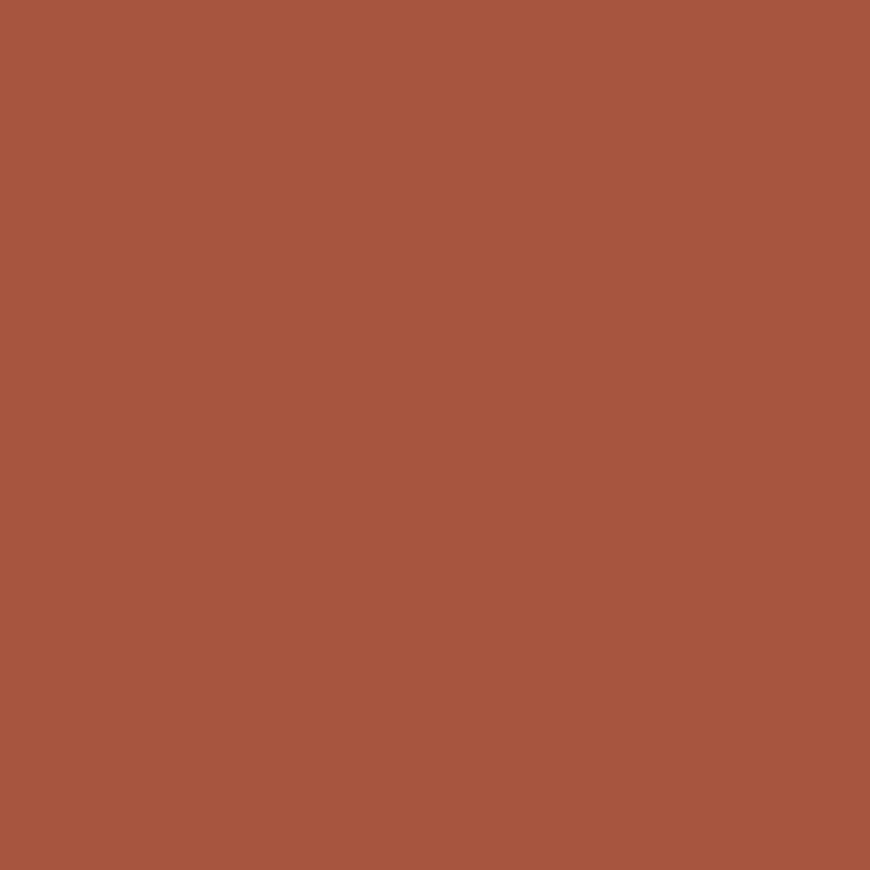 WN Promarker Burnt umber (R646)